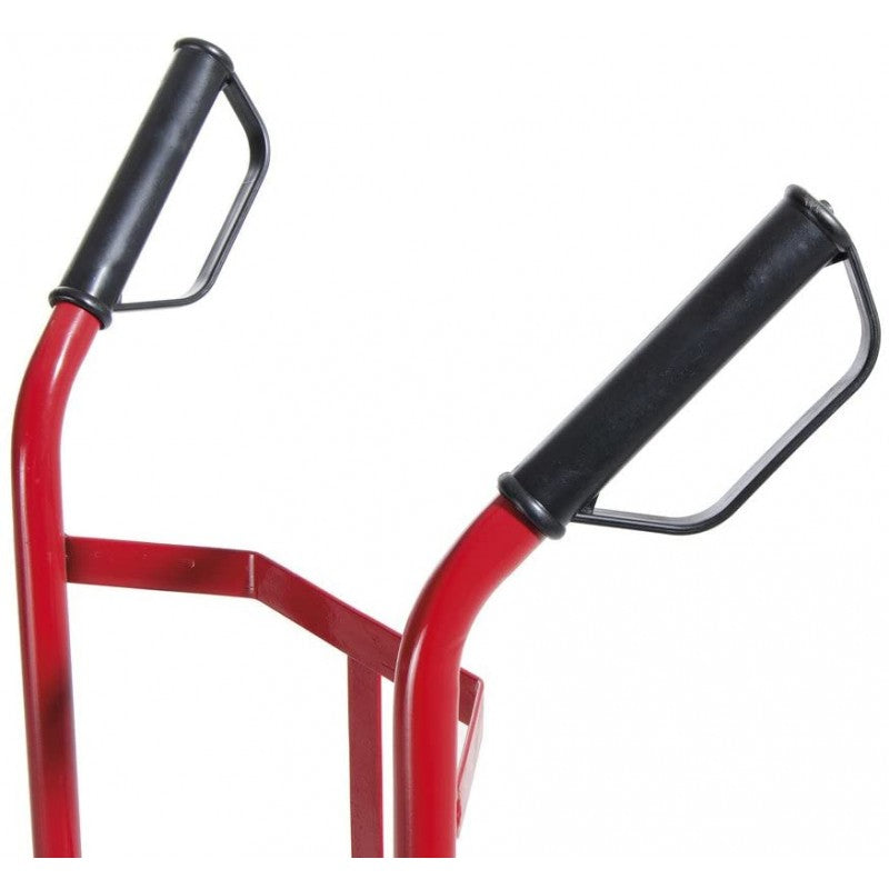 Carrello Portapacchi con ruote Verdelook