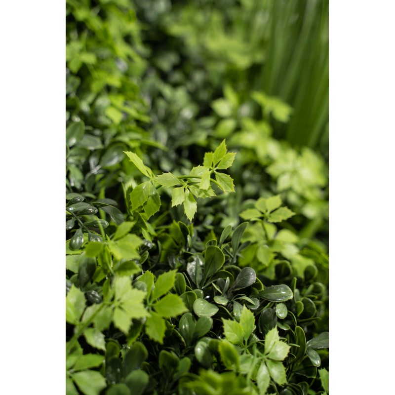 Siepe artificiale 100x100 cm  Ecuador | Xone