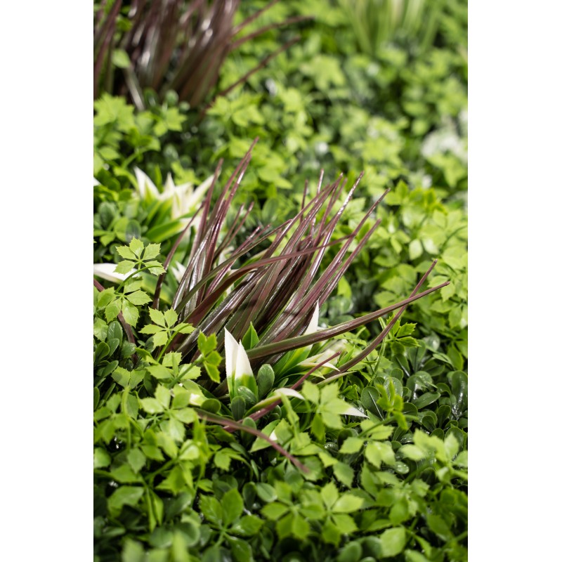 Siepe artificiale 100x100 cm  Ecuador | Xone