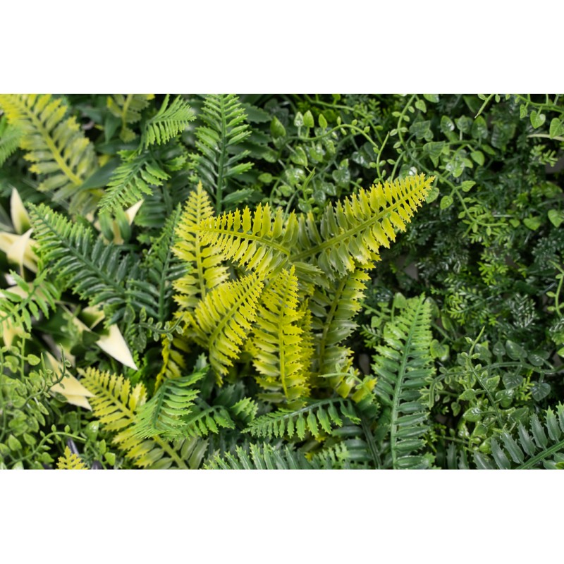 Siepe artificiale 100x100 cm Kenya | Xone