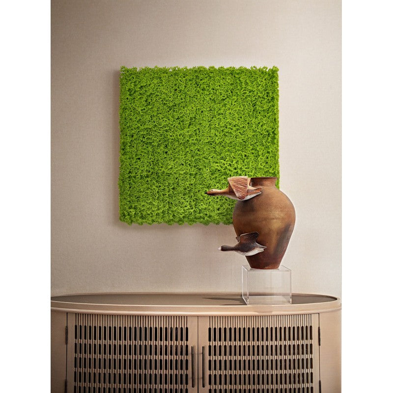Siepe artificiale 50x50 cm Muschio | Xone