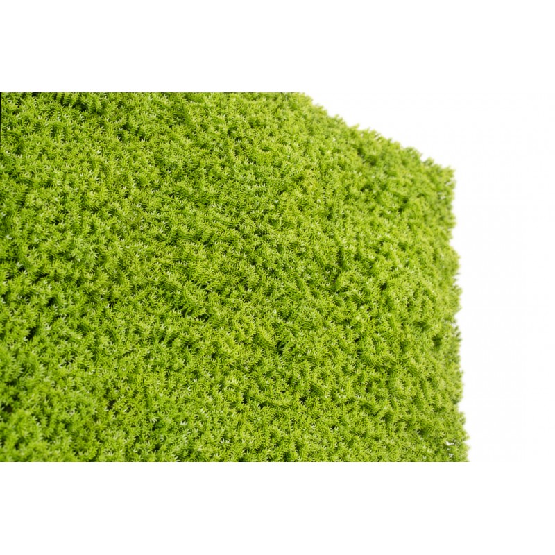 Siepe artificiale 50x50 cm Muschio | Xone