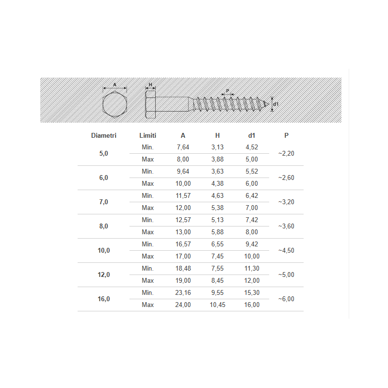 Tirafondo Testa esagonale12x100 Zn 4.8 Di571 Uni704 En14592