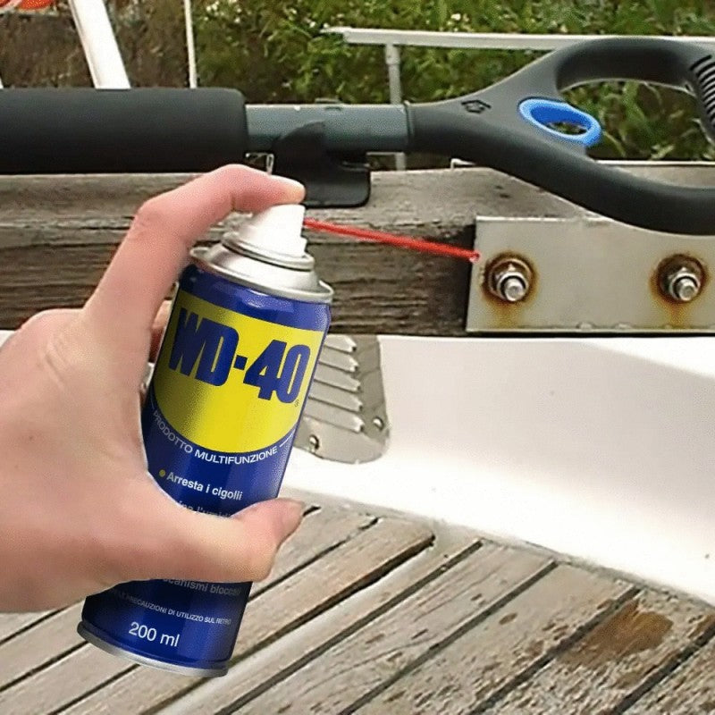 Lubrificante Spray 250+40ml omaggio | WD-40