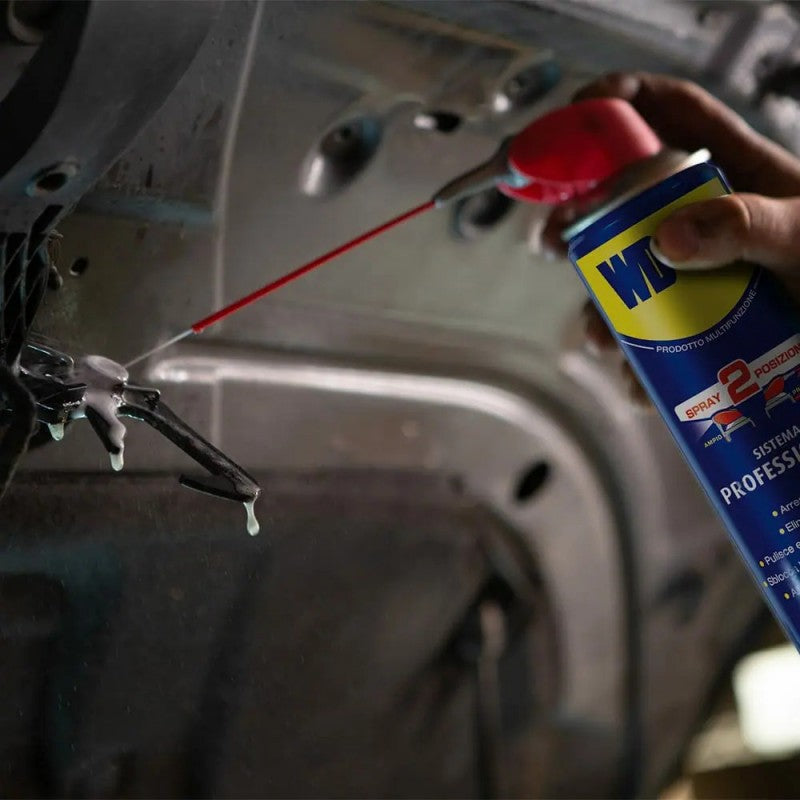 Multifunzione Lubrificante spray | WD-40